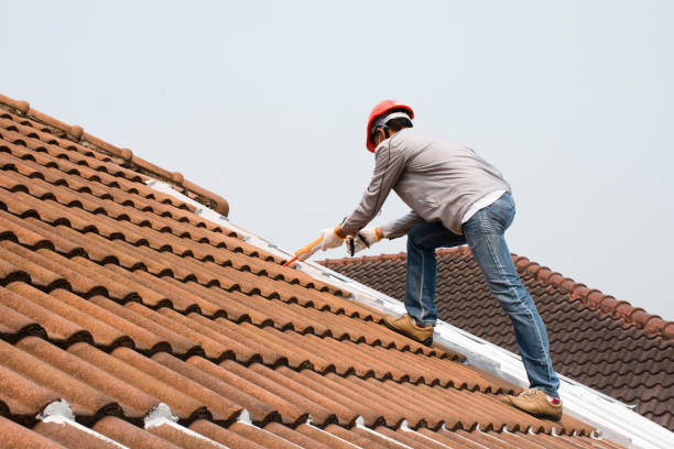 Best Asphalt Shingles Roofing  in Cooper, TX